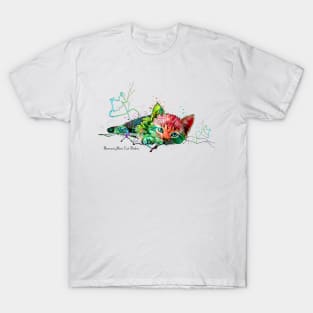 Baronet Abra Cat Dabra T-Shirt